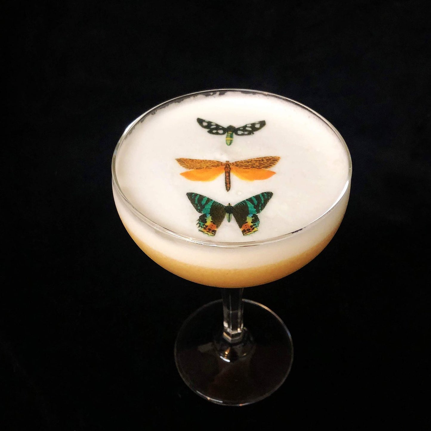 Butterfly Variety Cocktail Topper Garnishes